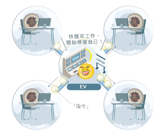 EV 技術圖解